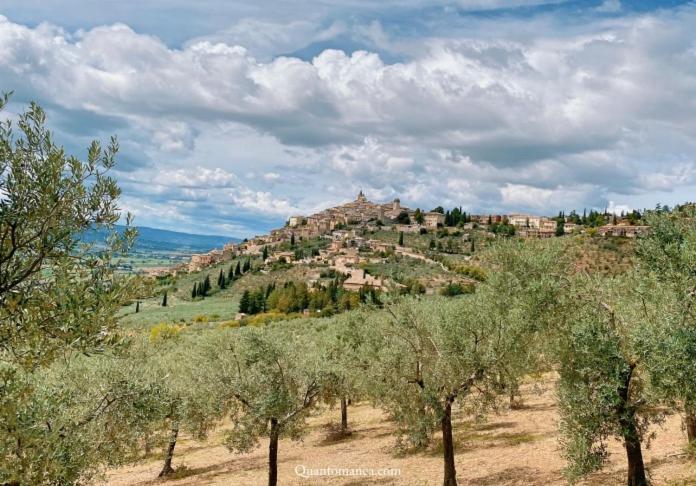 Manciobiba Home Τρέβι Εξωτερικό φωτογραφία
